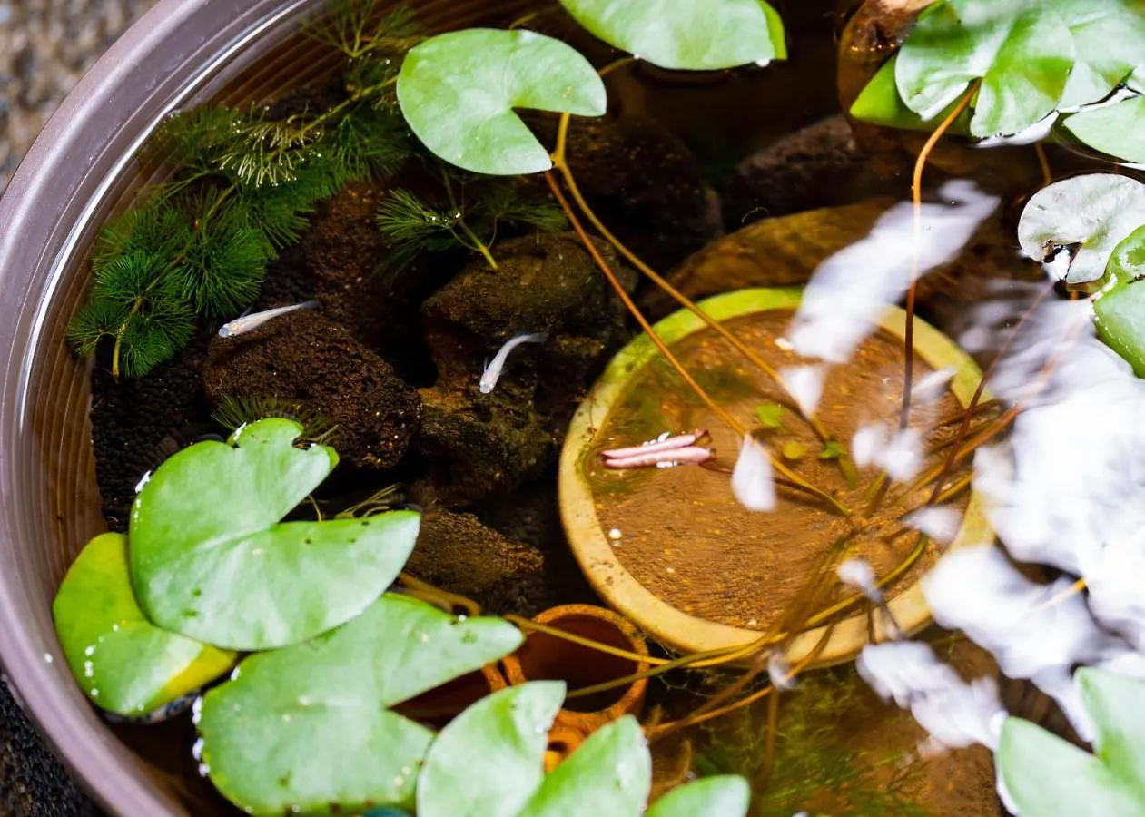 京都駅前ひふみ旅館（Hifumiryokan Kyoto Station)